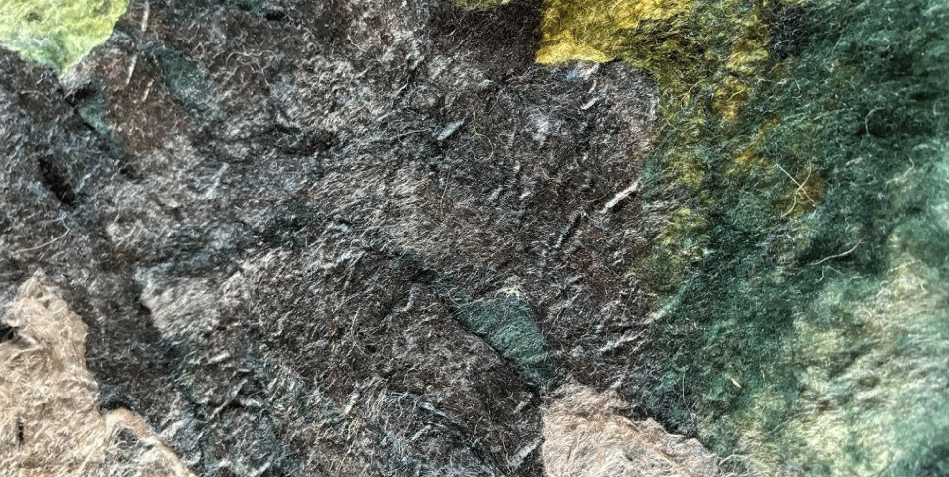 Col·loqui «Futurs Pastorals. Les migracions de la llana»