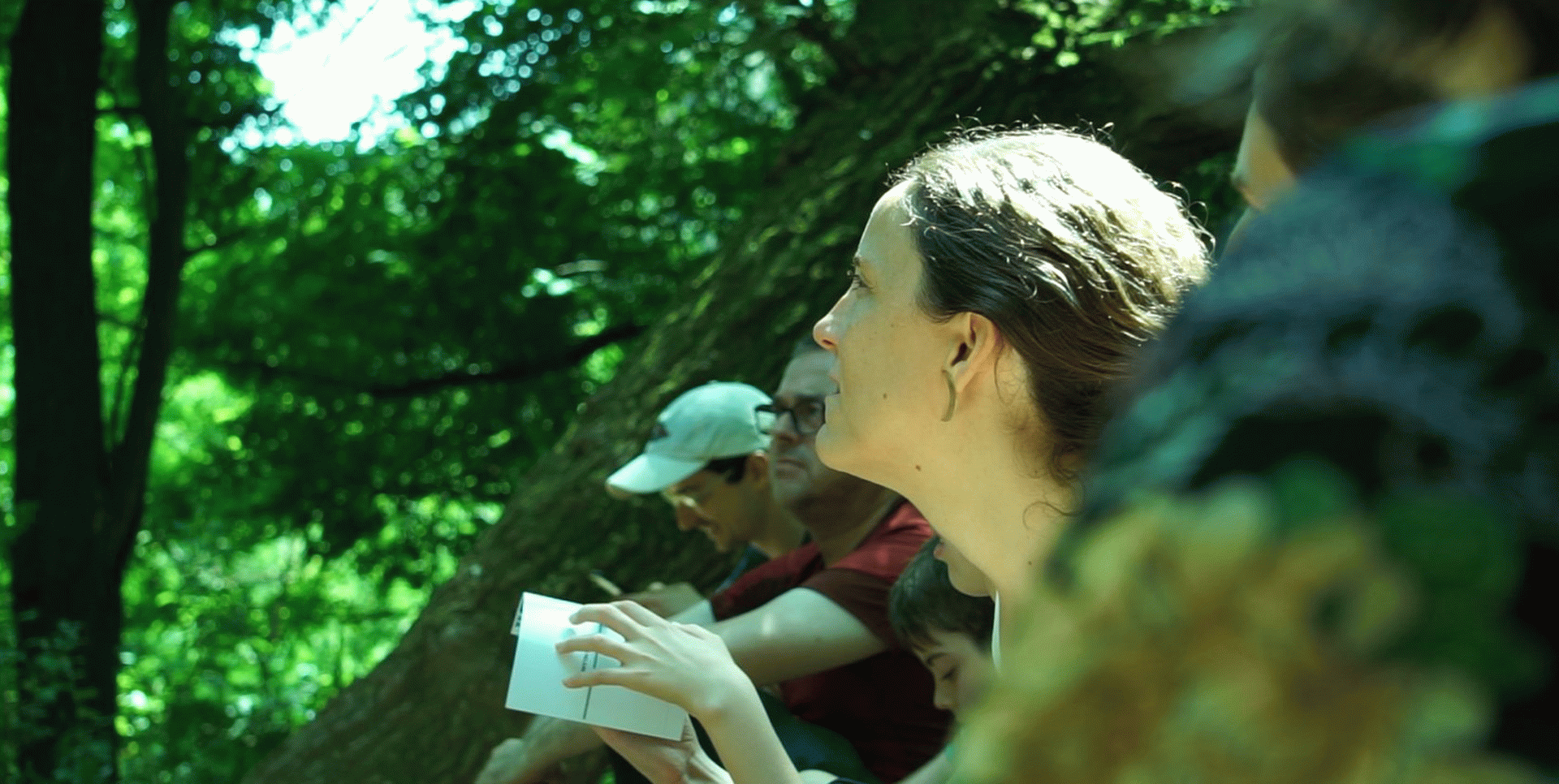 Eina Collserola Public Sphere