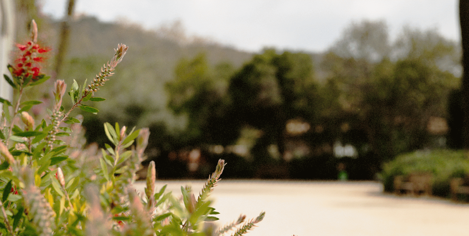 Defensa de tesis a EINA