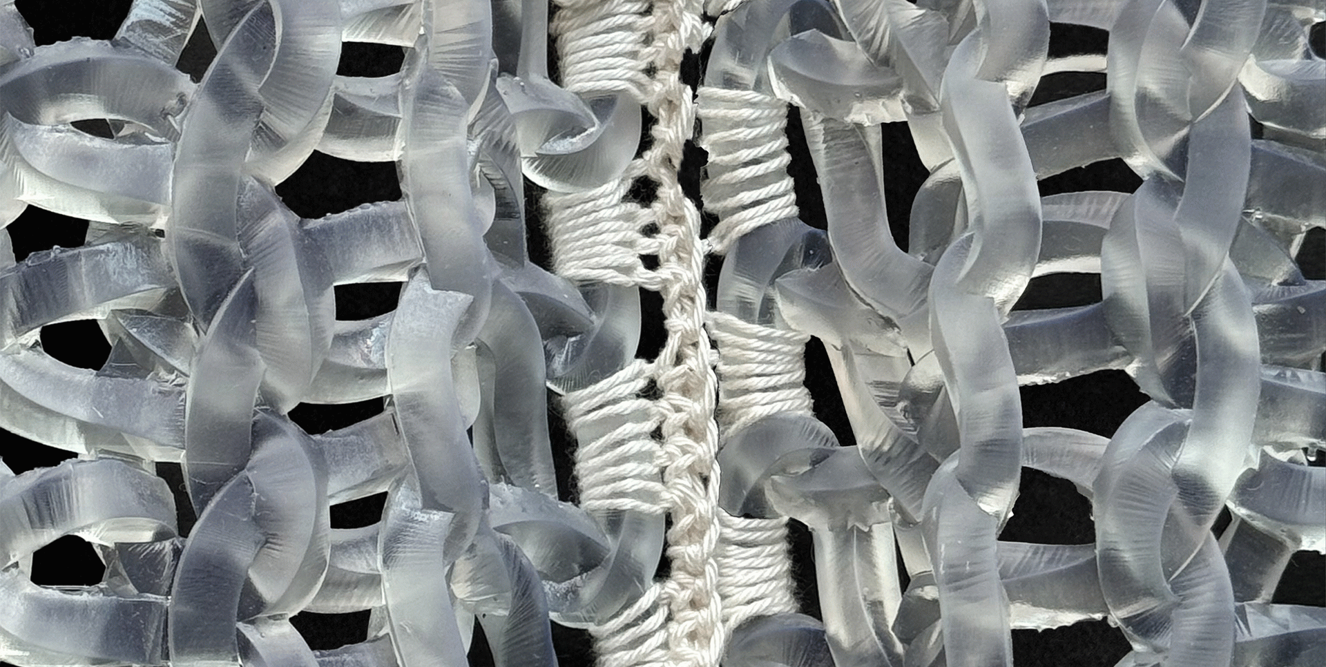 Rocío Rodriguez Hidalga