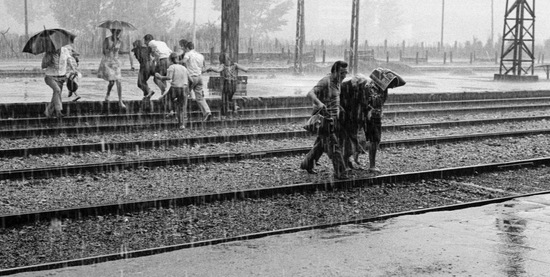 Entre vida, Ramon Llinares