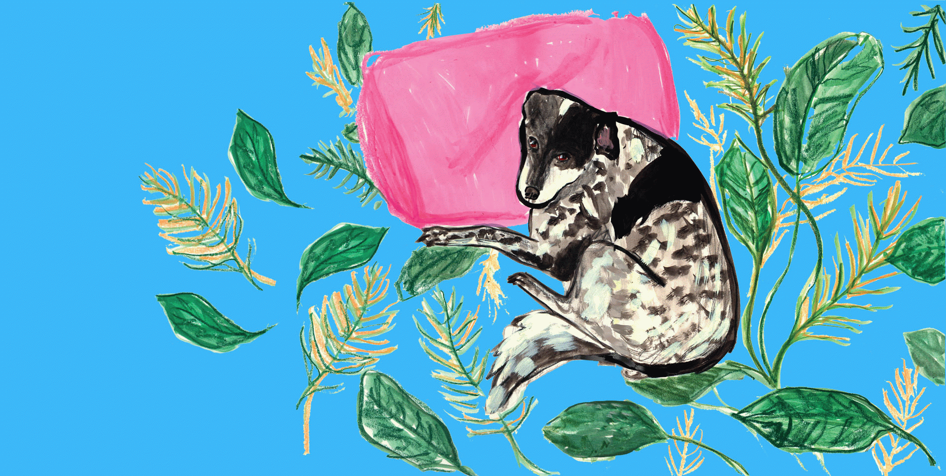 Dibuixa la teva mascota preferida