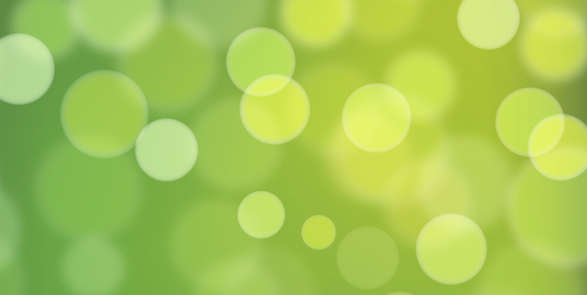 Els llums de Nadal il·luminen el comerç