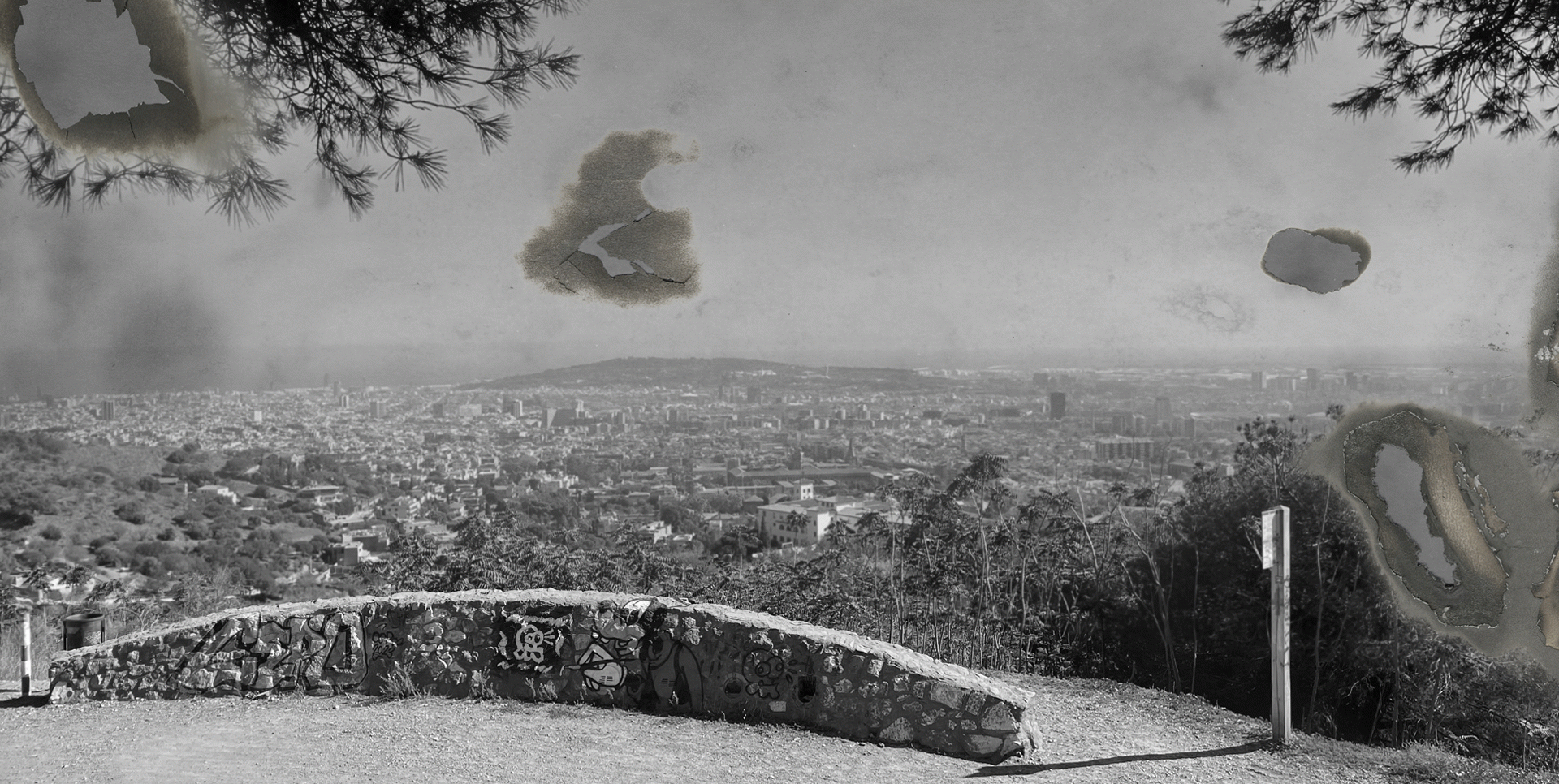 Cel contaminat de la ciutat de Barcelona, Simon F. Katz