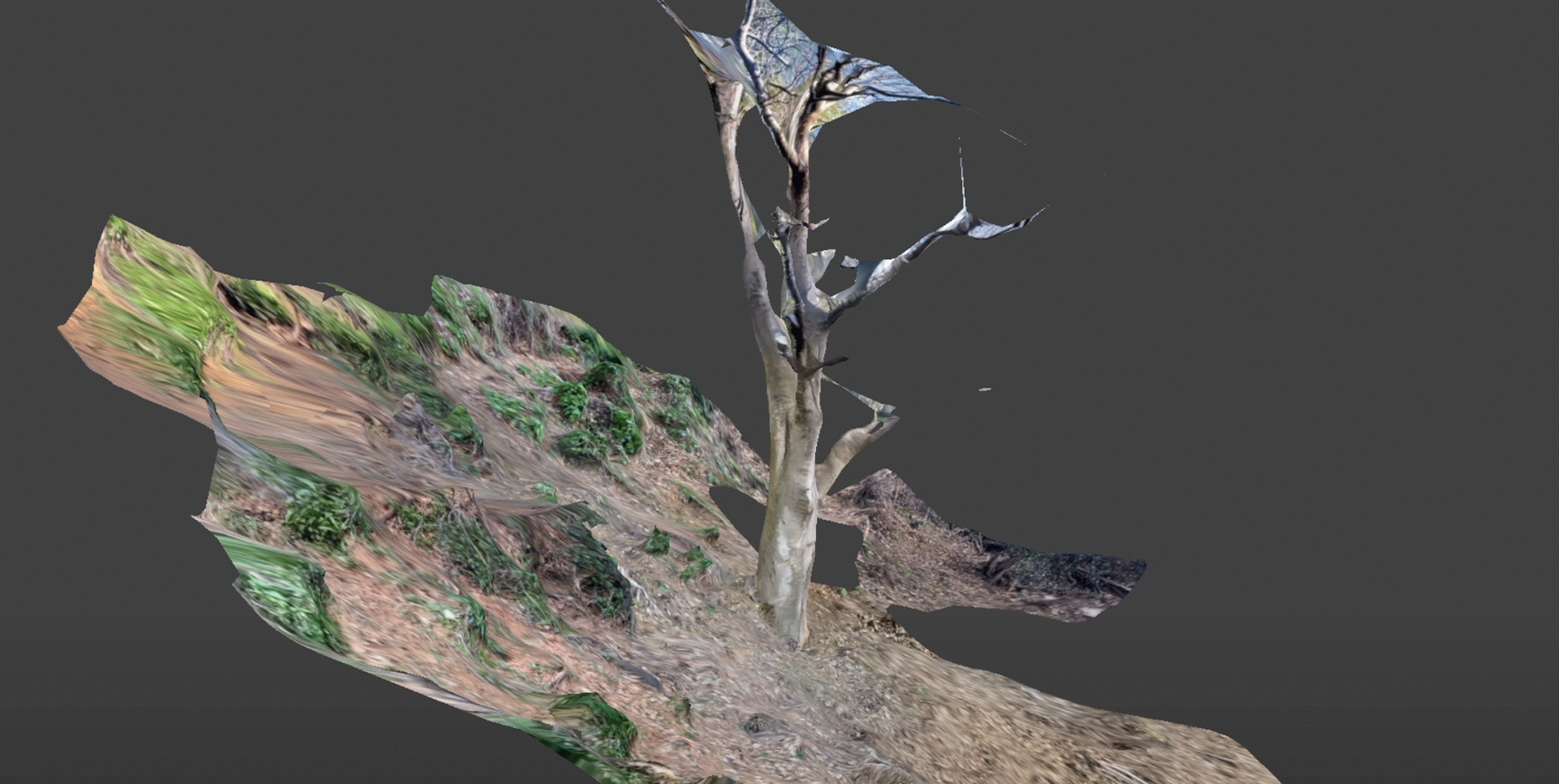 Coreocartografia. Caminar, escanejar i imaginar altres maneres de cartografiar el territori