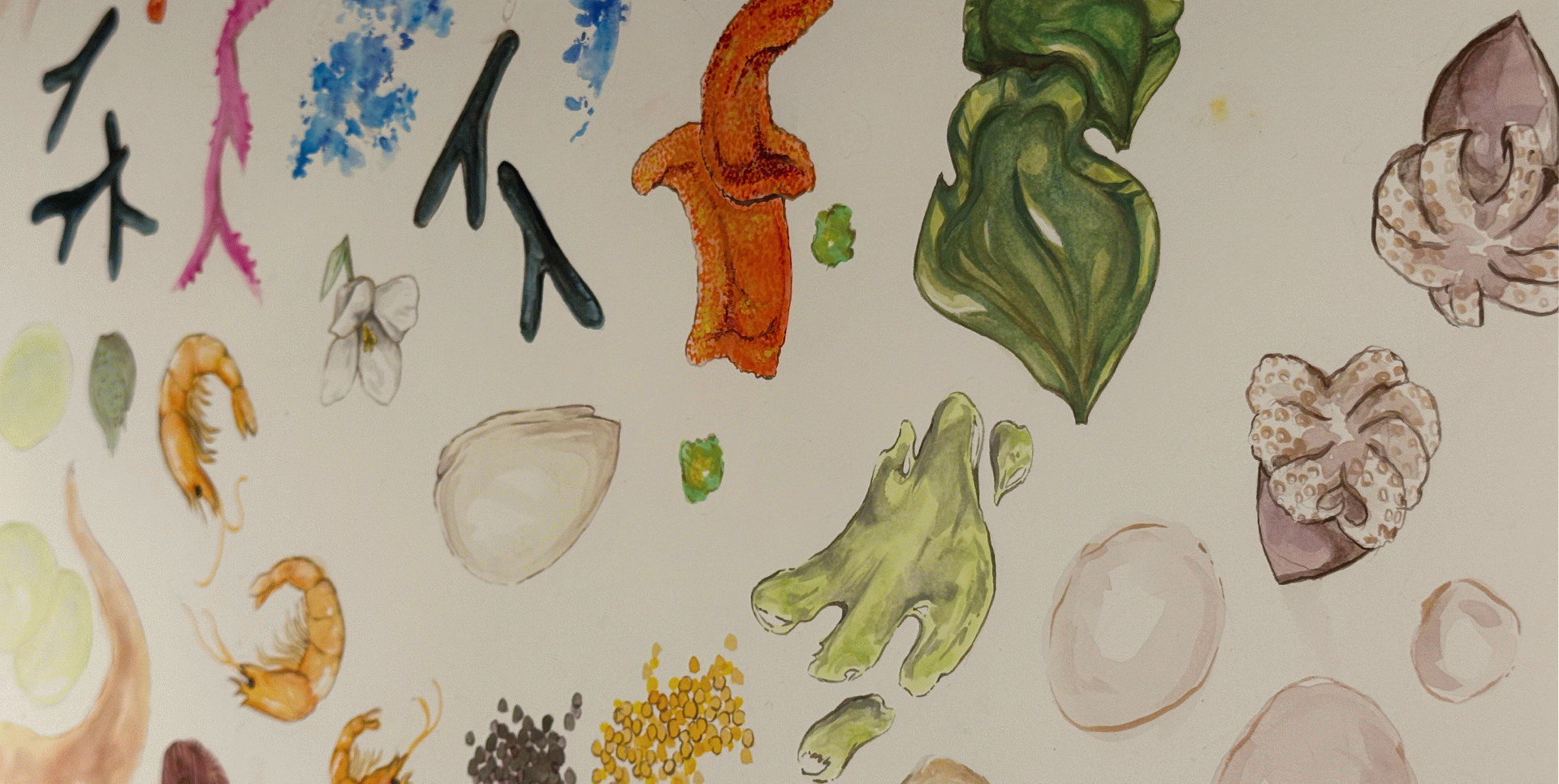 Eina i el restaurant Disfrutar exploren el dibuix com a eina de creació gastronòmica 