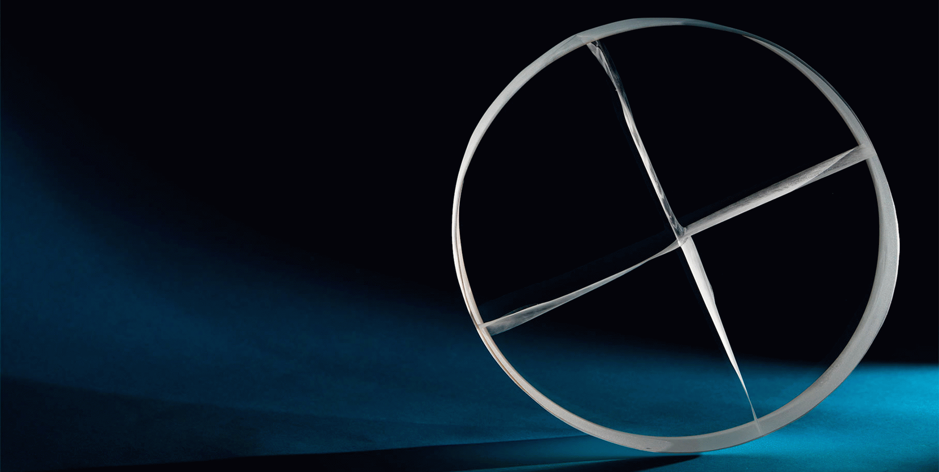 Projecte Anna Alsina Bardagí 