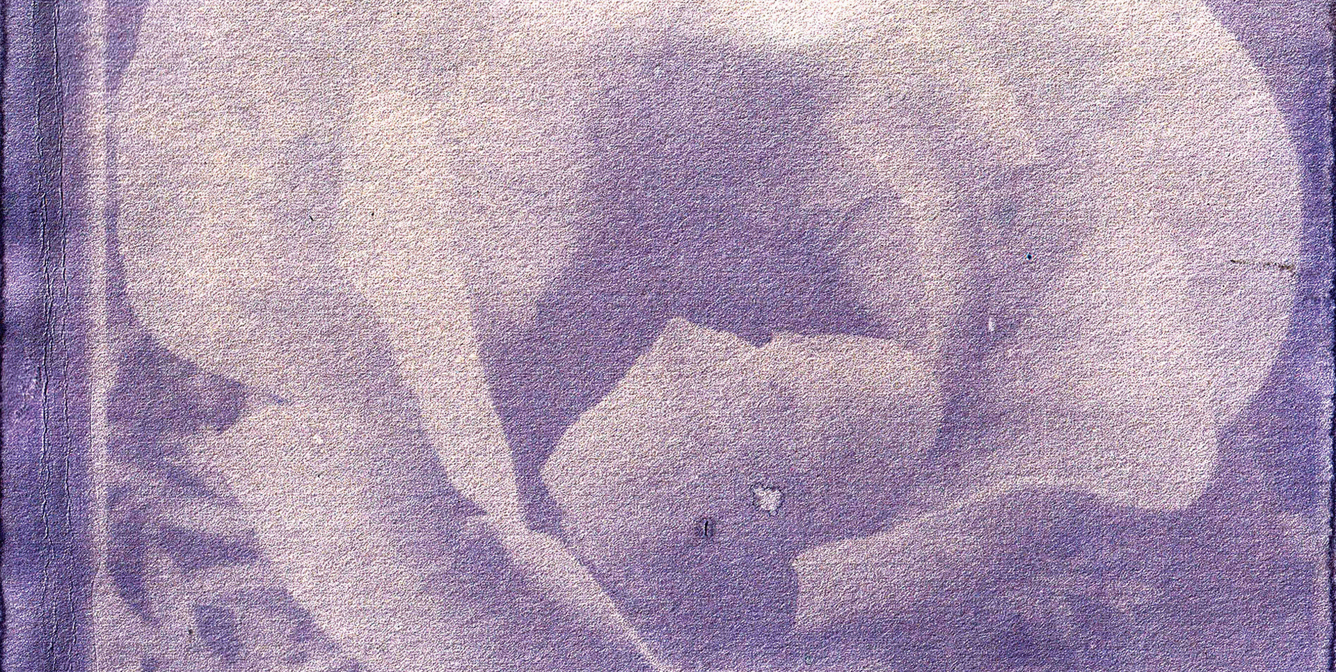 El Saber de les Flors