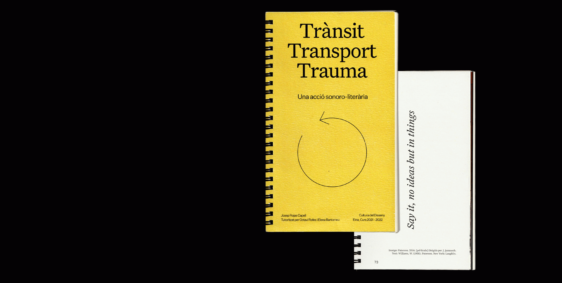 Trànsit Transport Trauma