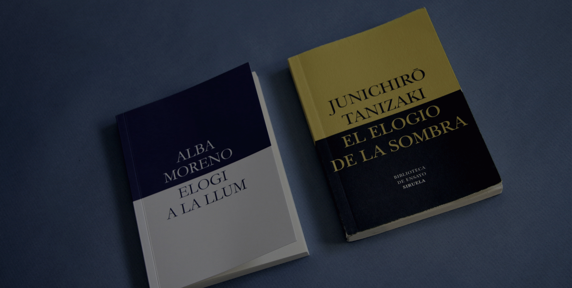 Alba Moreno Lecha - Elogi a la llum