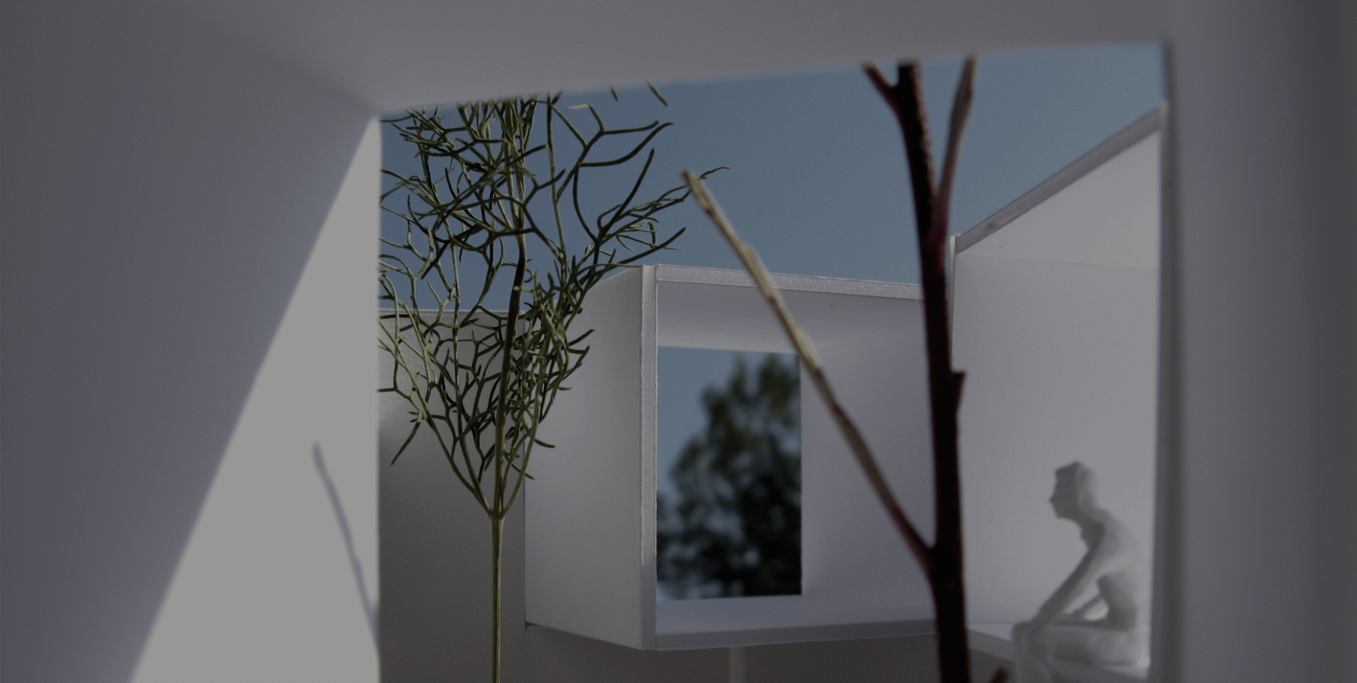 Alex Alvarez - Habitar com a utopia