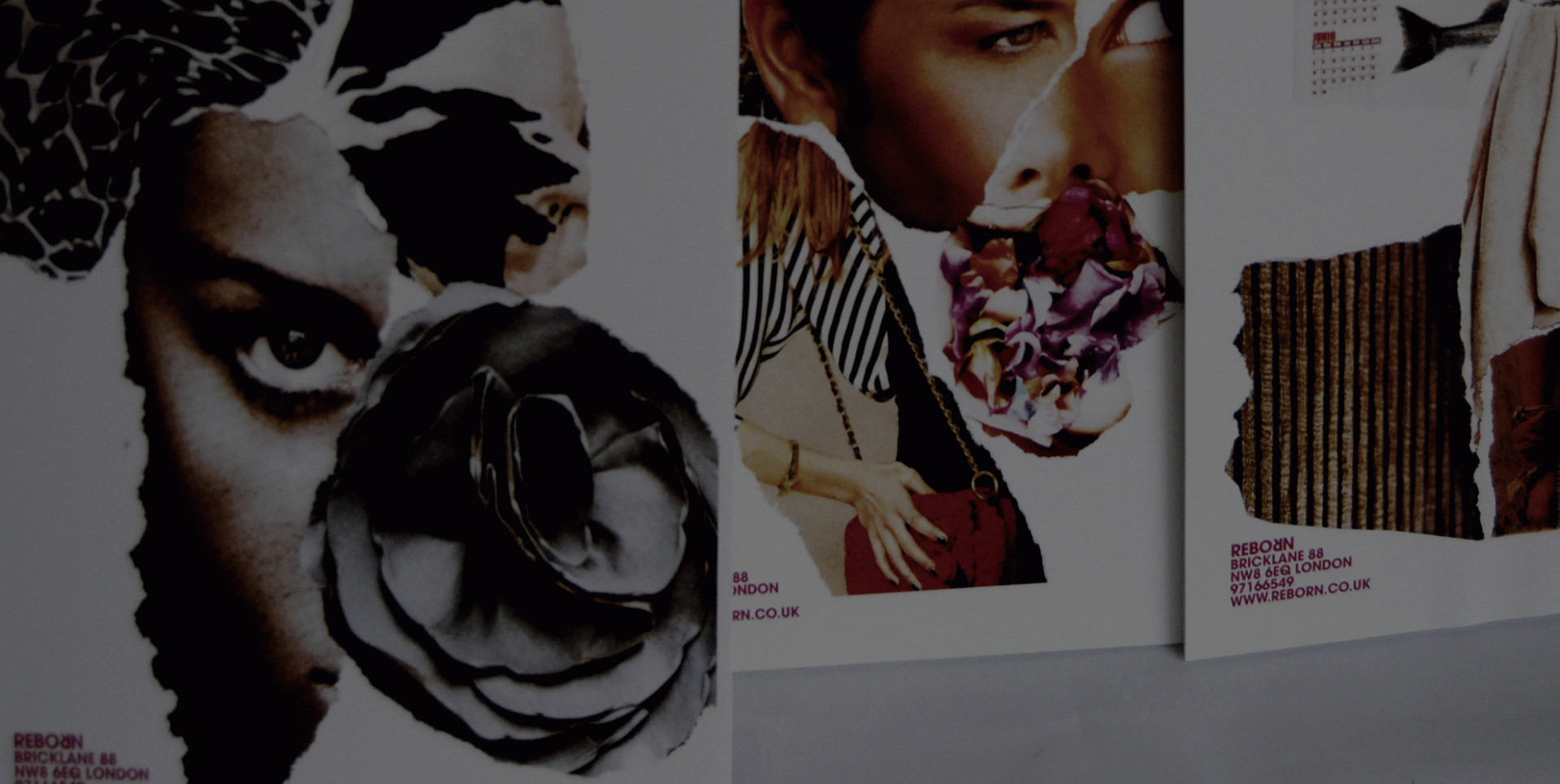 Anna Corretja - Reborn