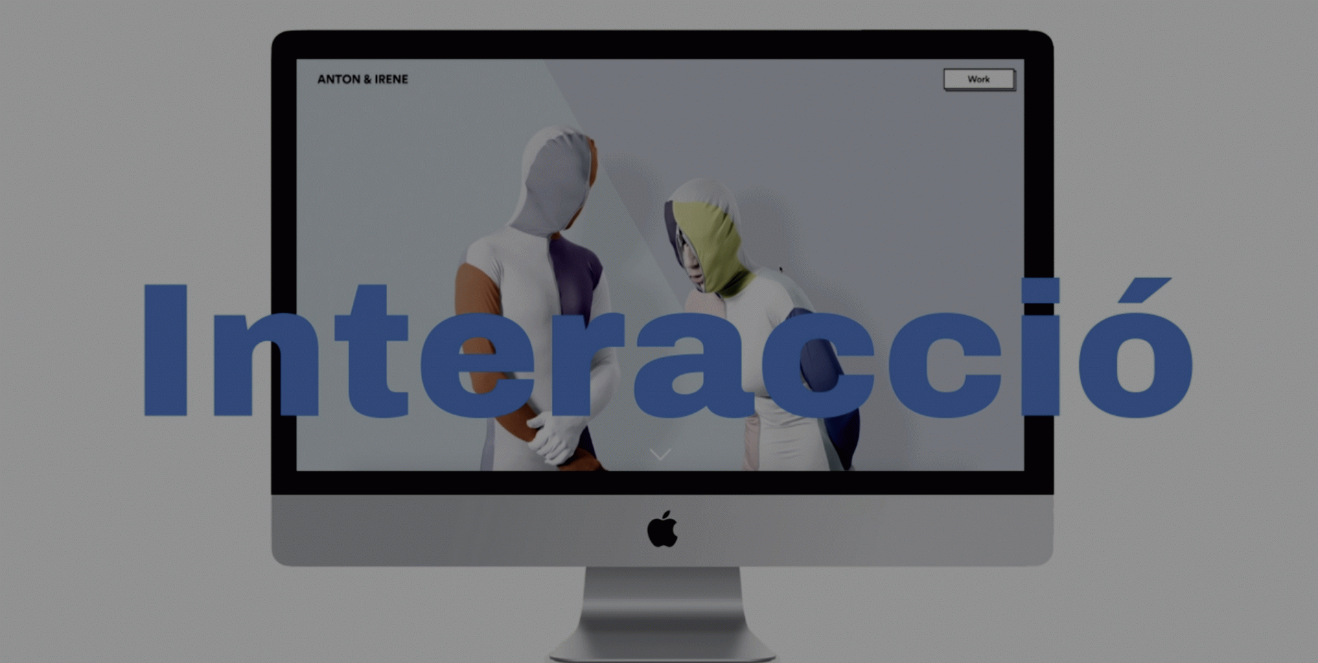 Ana Llimona Torrente - Conquistar l’usuari web