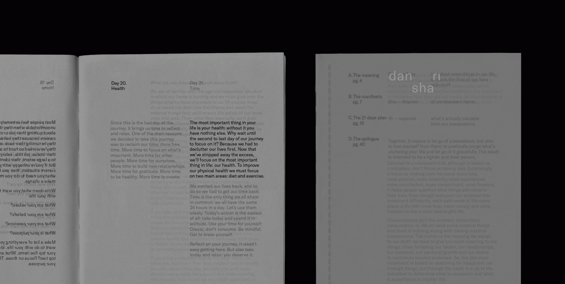 Ariadna Valldeperas Carrillo - Danshari