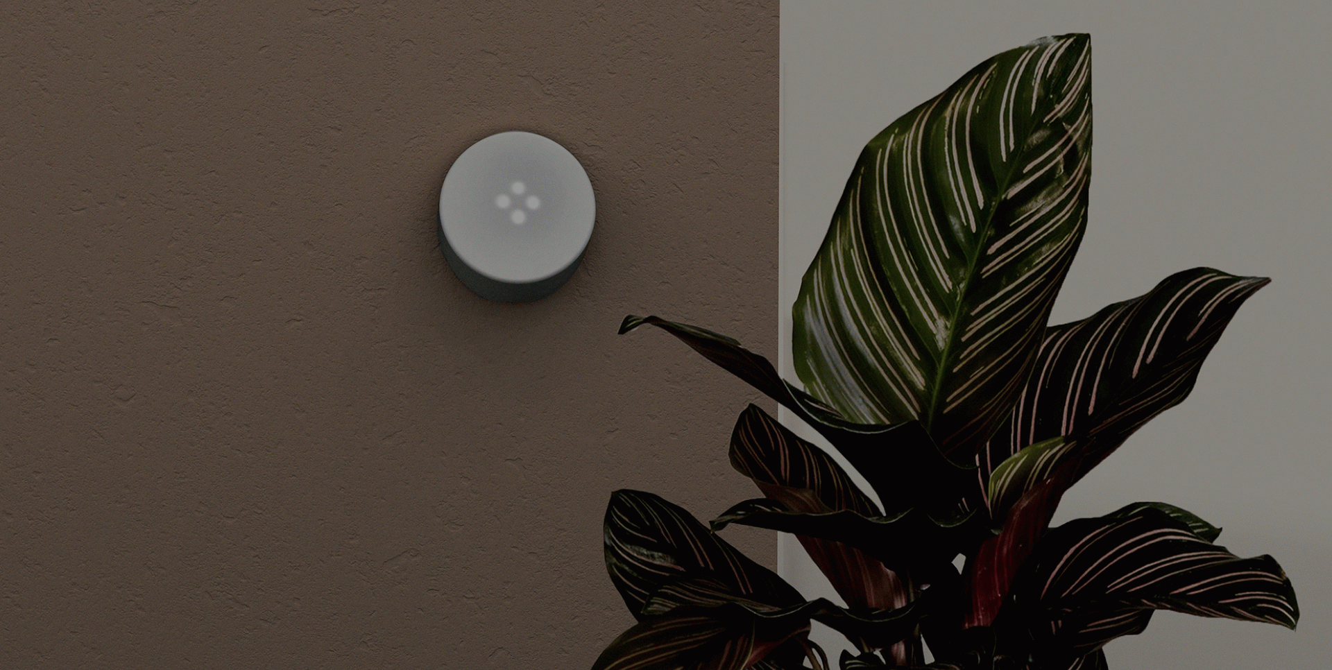 Domus - Berta Rovira Picó