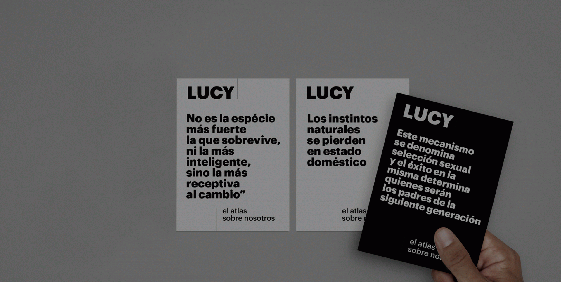 Berta Mir Villellas - L’atles infogràfic sobre l’evolució humana