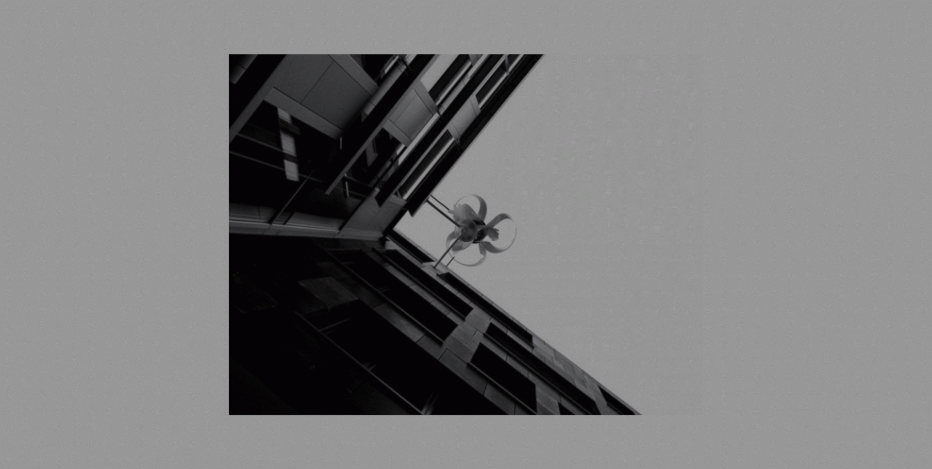 Carlos Jiménez Carrasco - S’enlaira