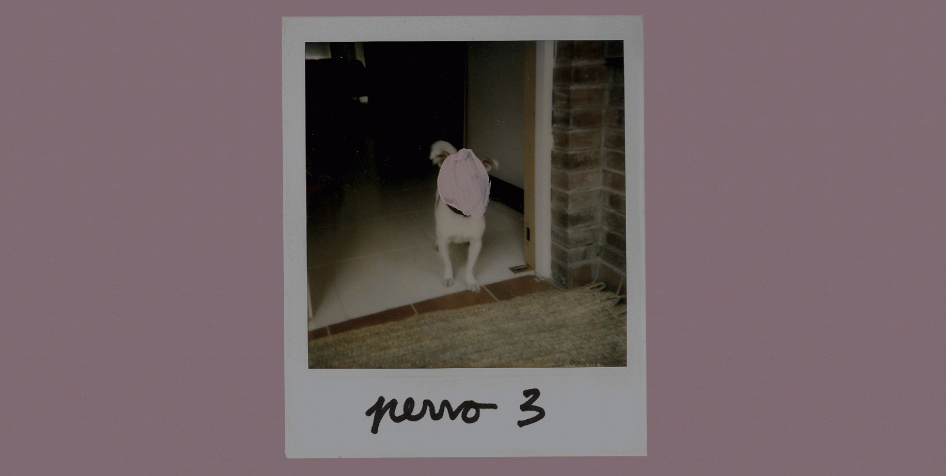 Carlota Castells Puig - Convergències entre disseny gràfic i cinema