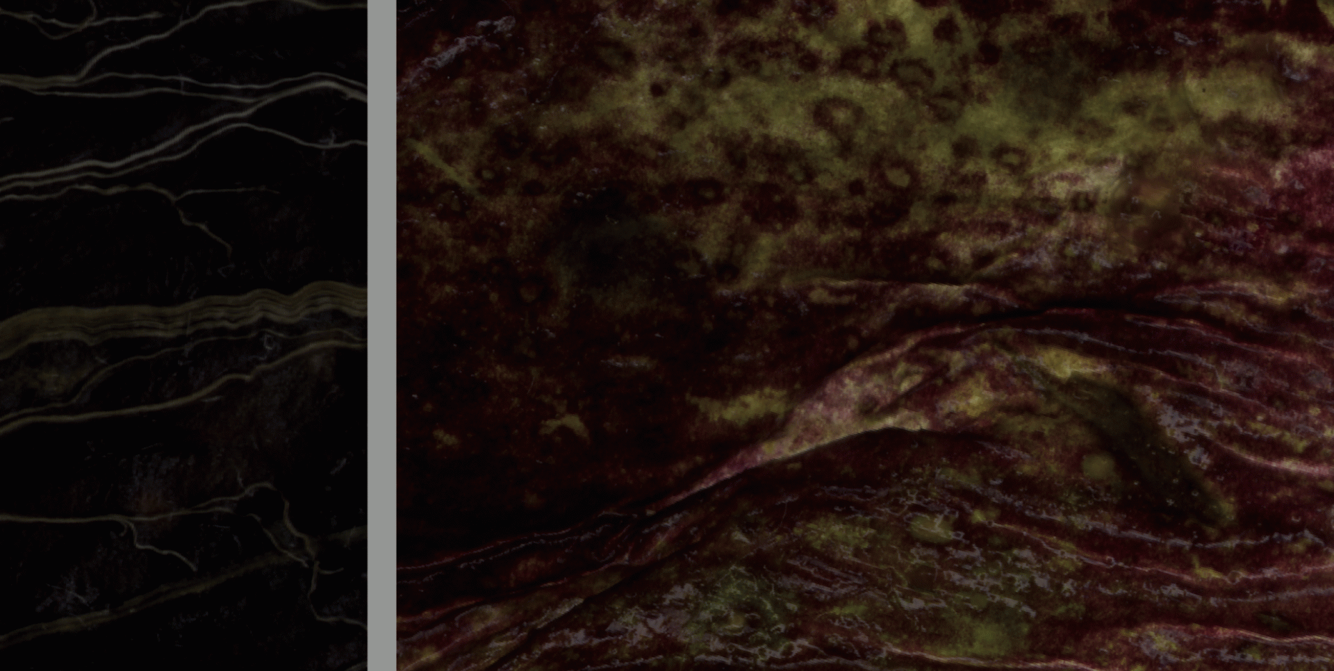 Carolina E. Díaz Galindo - Hortacroma