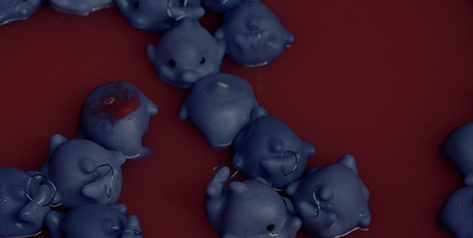 Cèlia Carballo Moreno - Històries d’Horror Animal