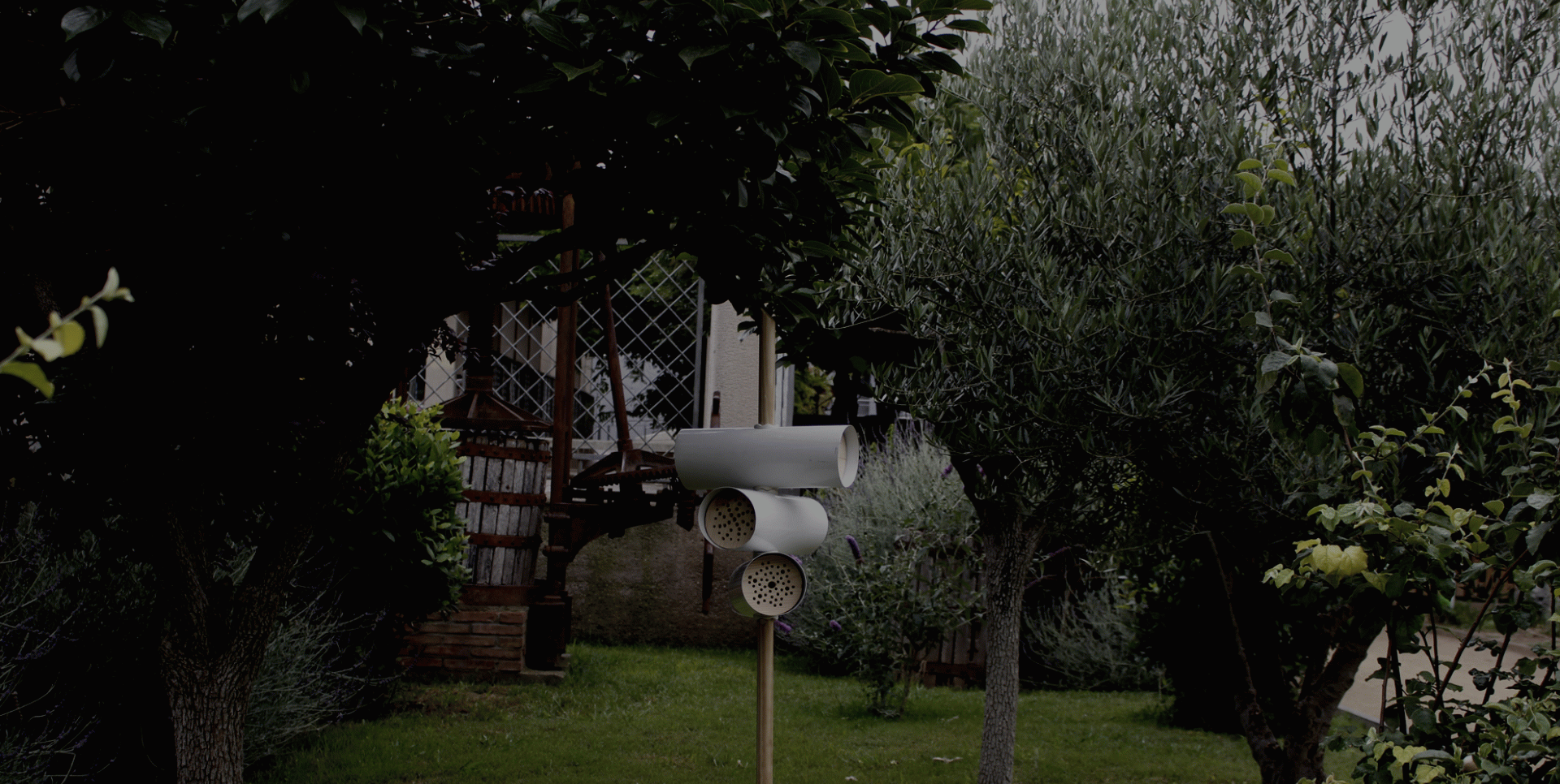 Cristina Bonamusa Martinez - Hbee