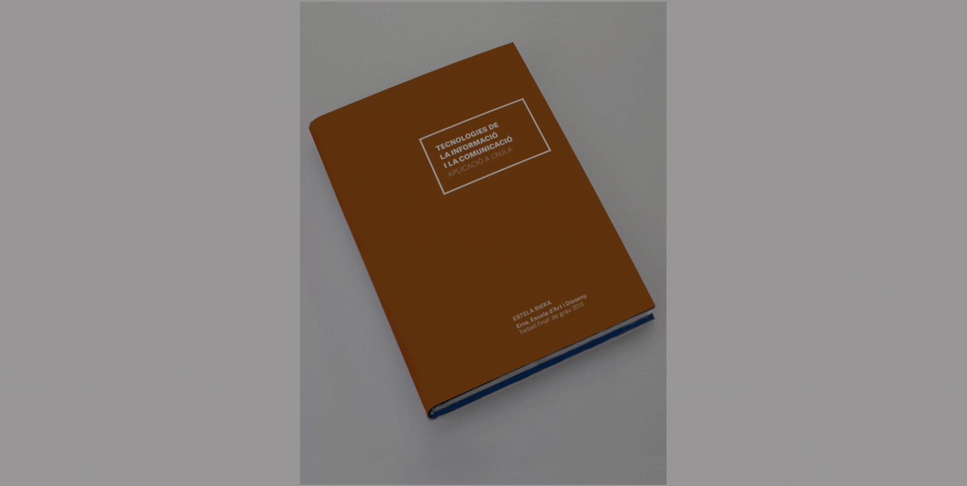Estela Riera Ramon - Tecnologies de la informació i la comunicació