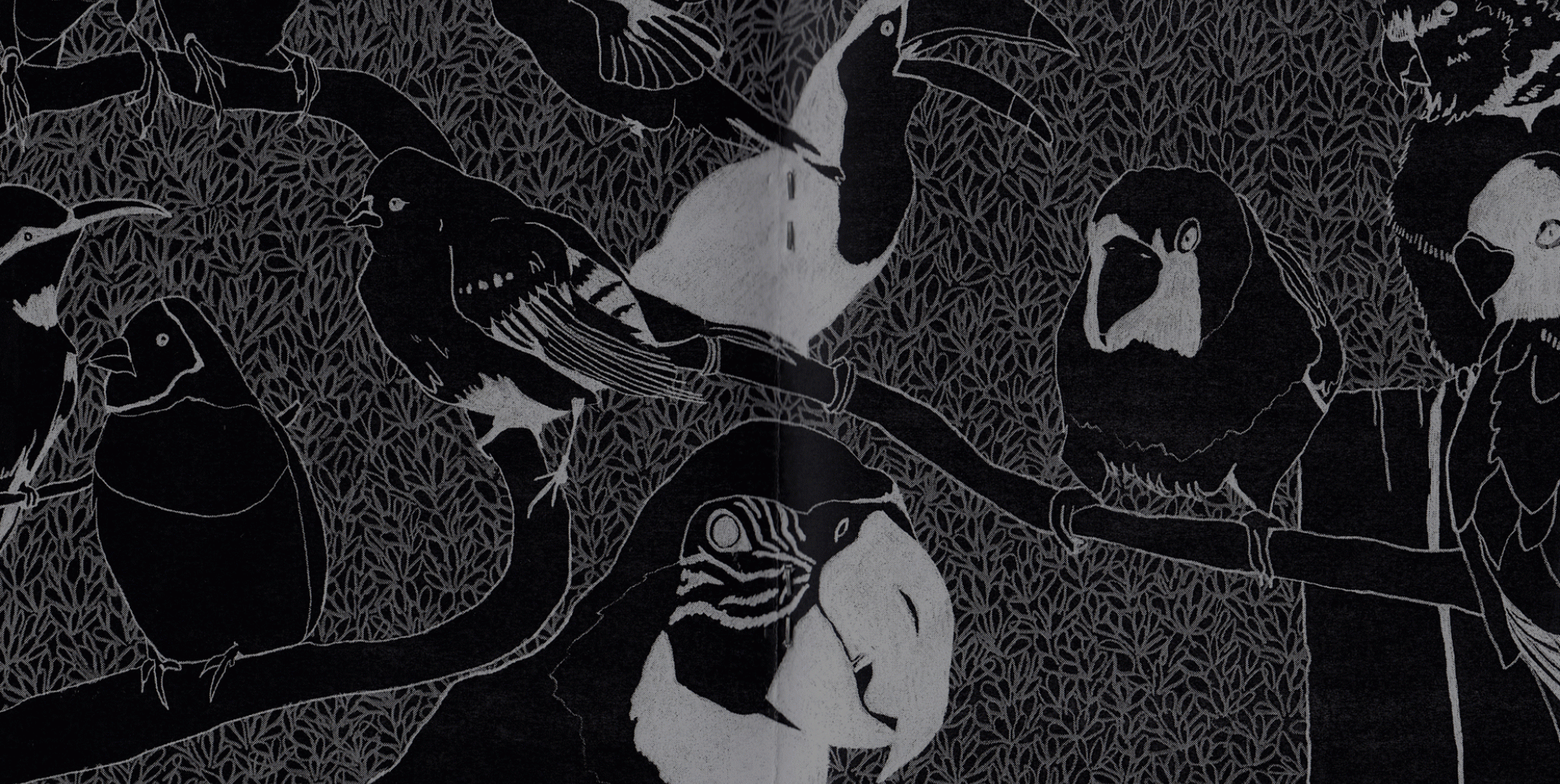 Esther Aguilà - Col·lecció “Misfitismo”