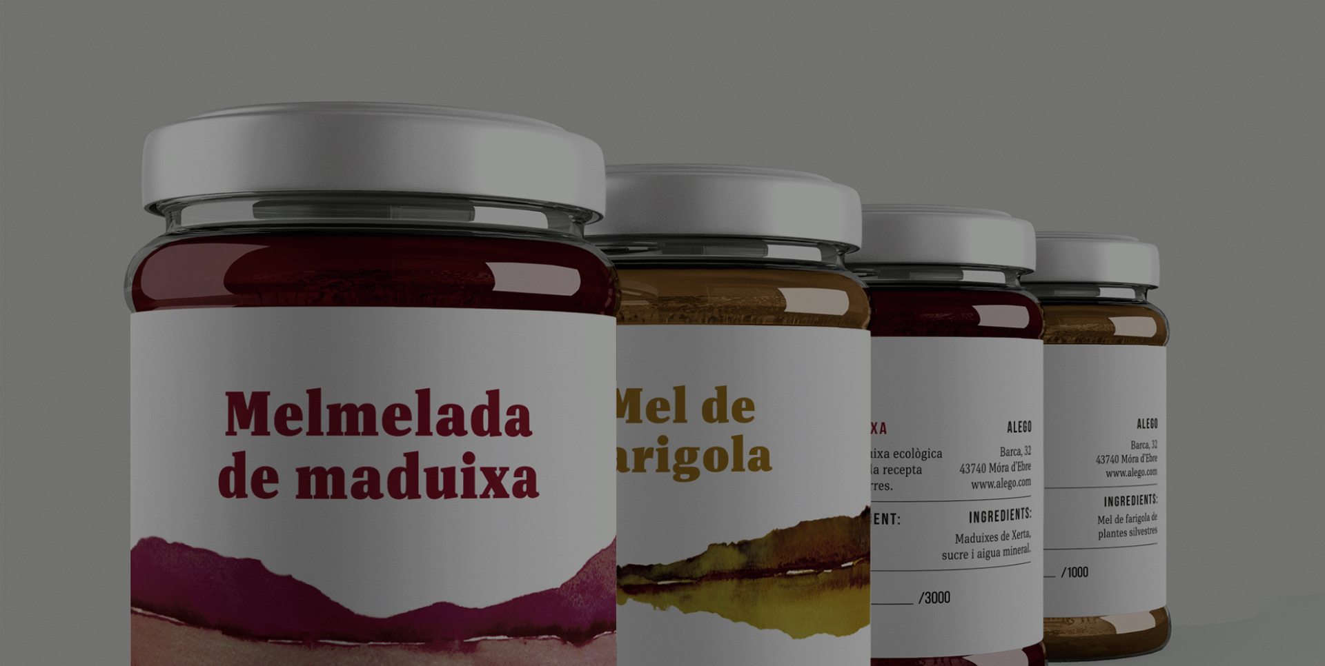 Marc Fernández Bladé - Alego