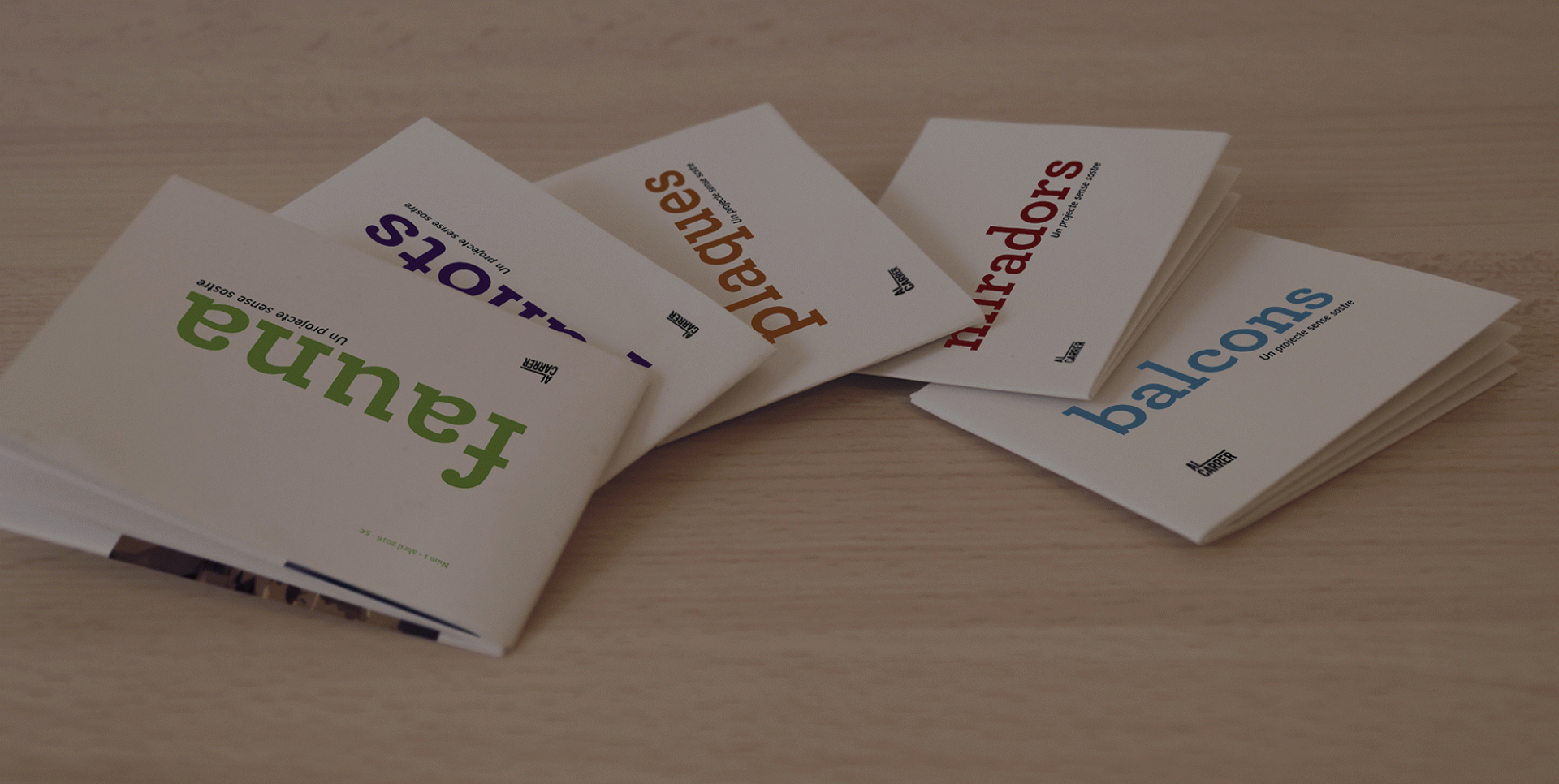 Maria Pla Mestras - Al carrer