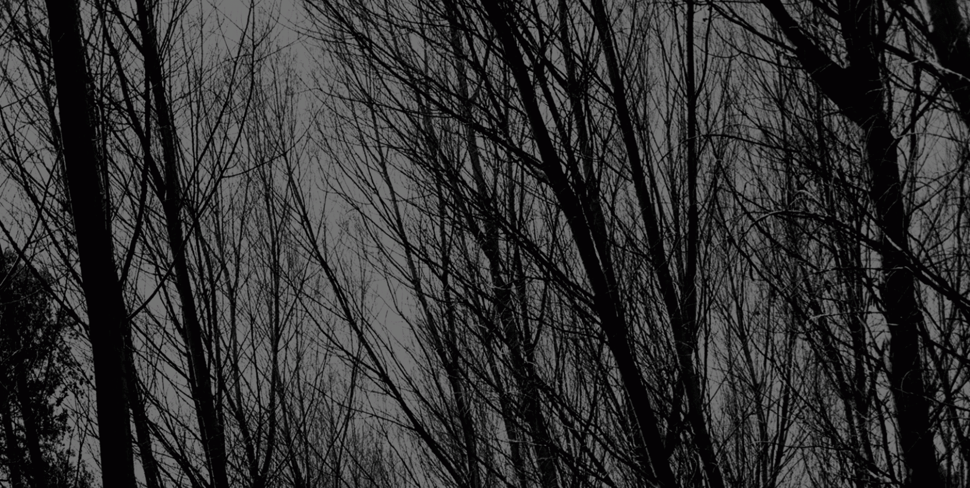 Marina Bertran Comellas - Riu de conflents