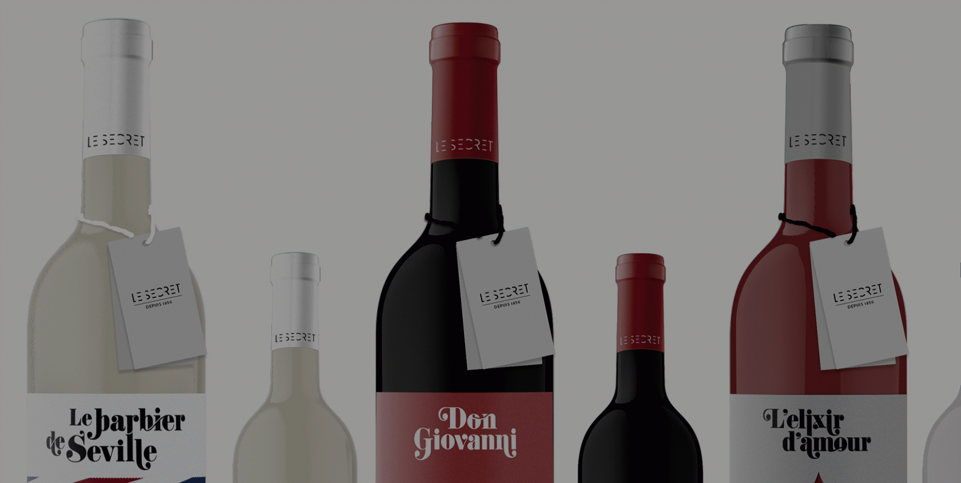 Mariona Valdés Omedes - Le Secret