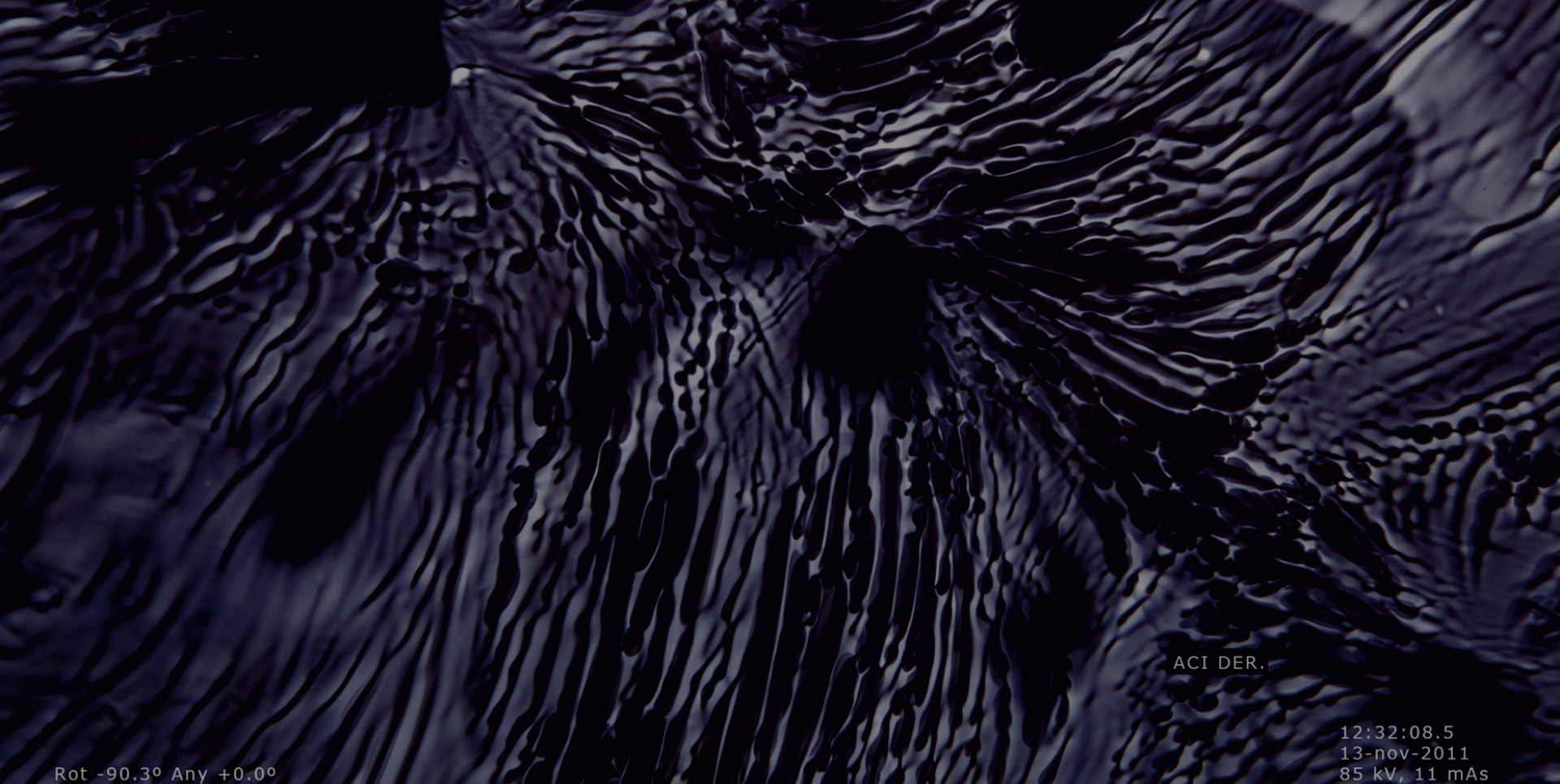 Marta Jiménez Tubau - Smile, you are making Science