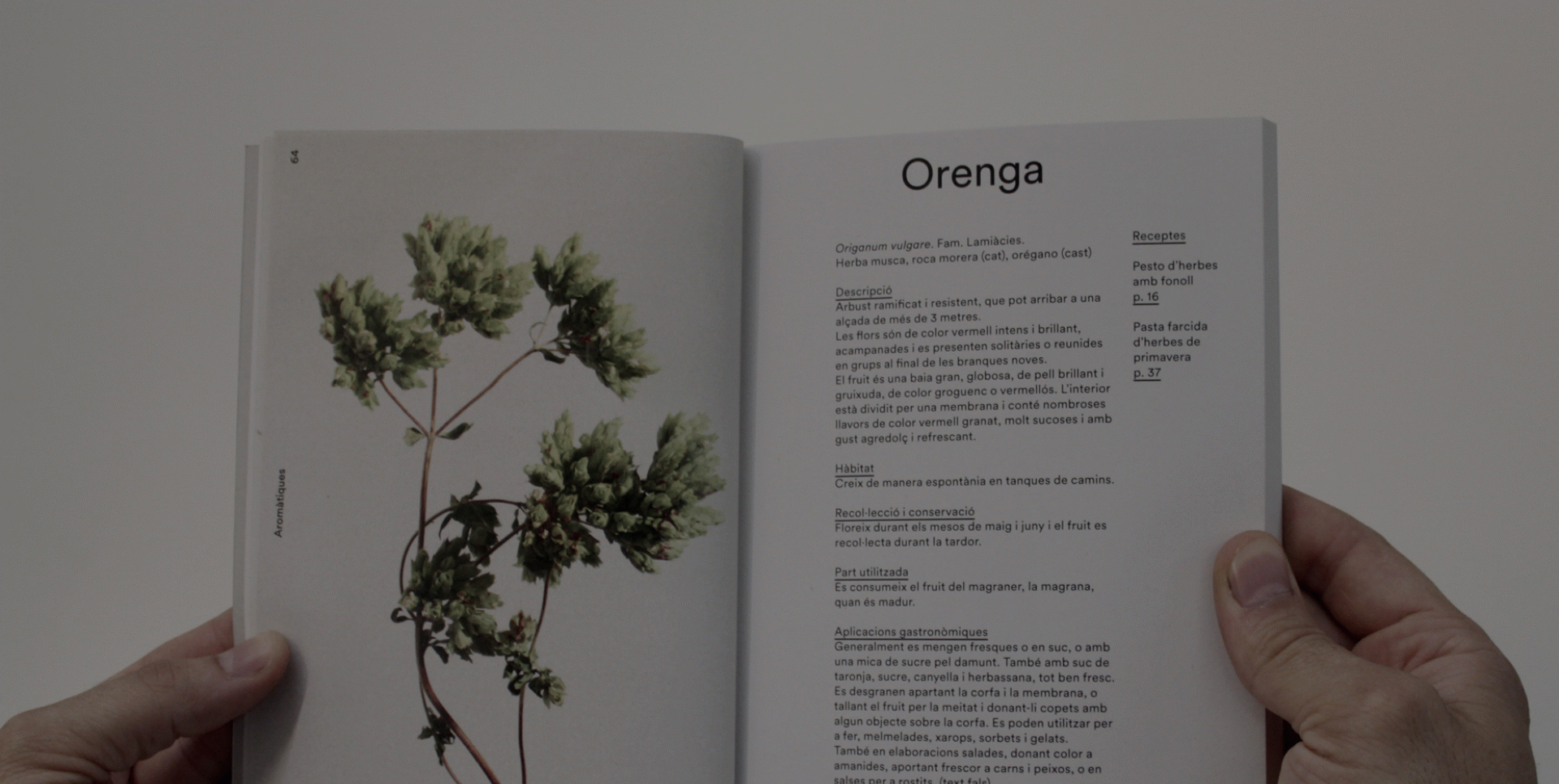 Miguel Bustos - Cuina amb plantes silvestres del Sénia