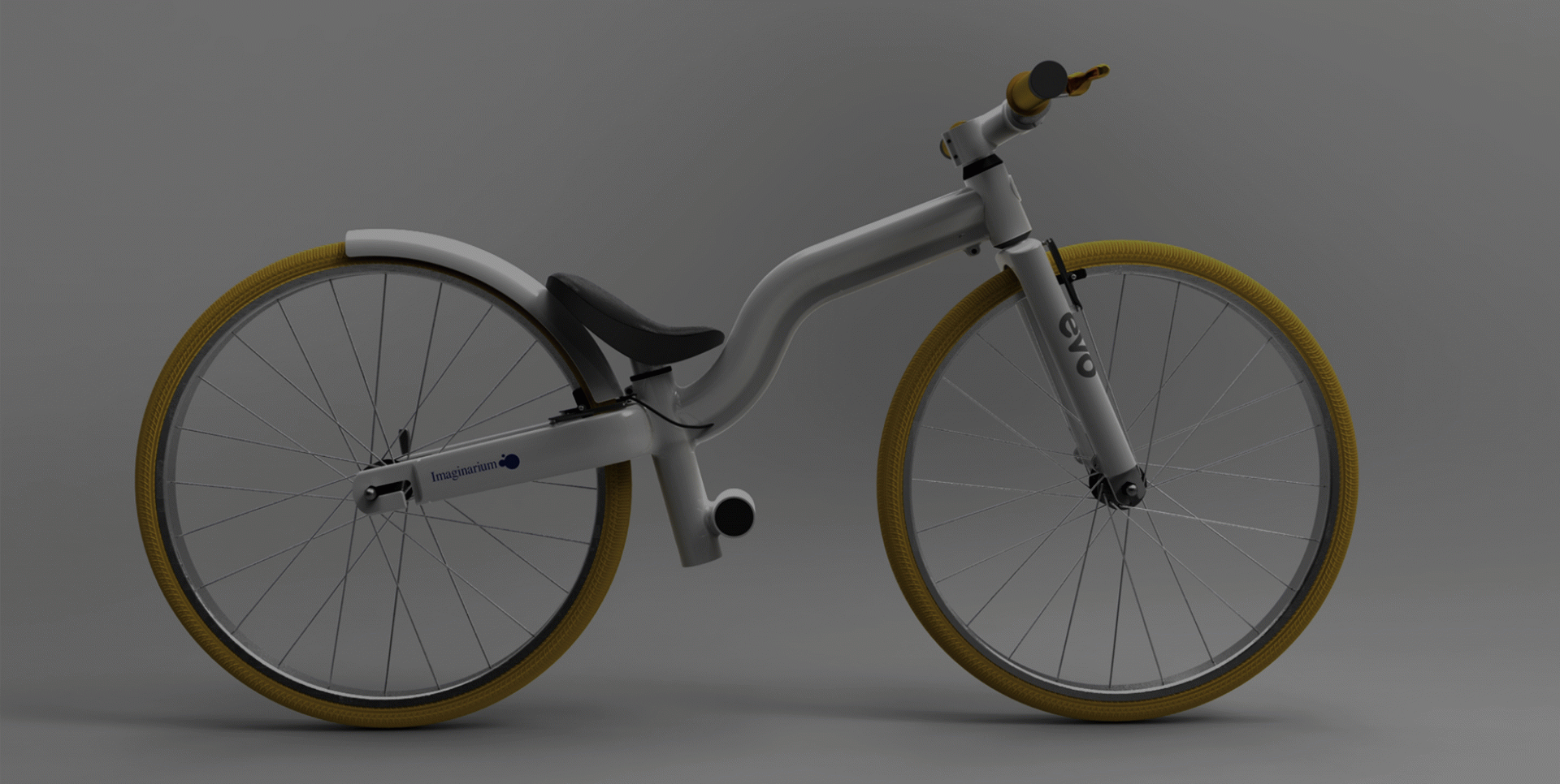 Mireia Vallès i Barbany - Evo bike