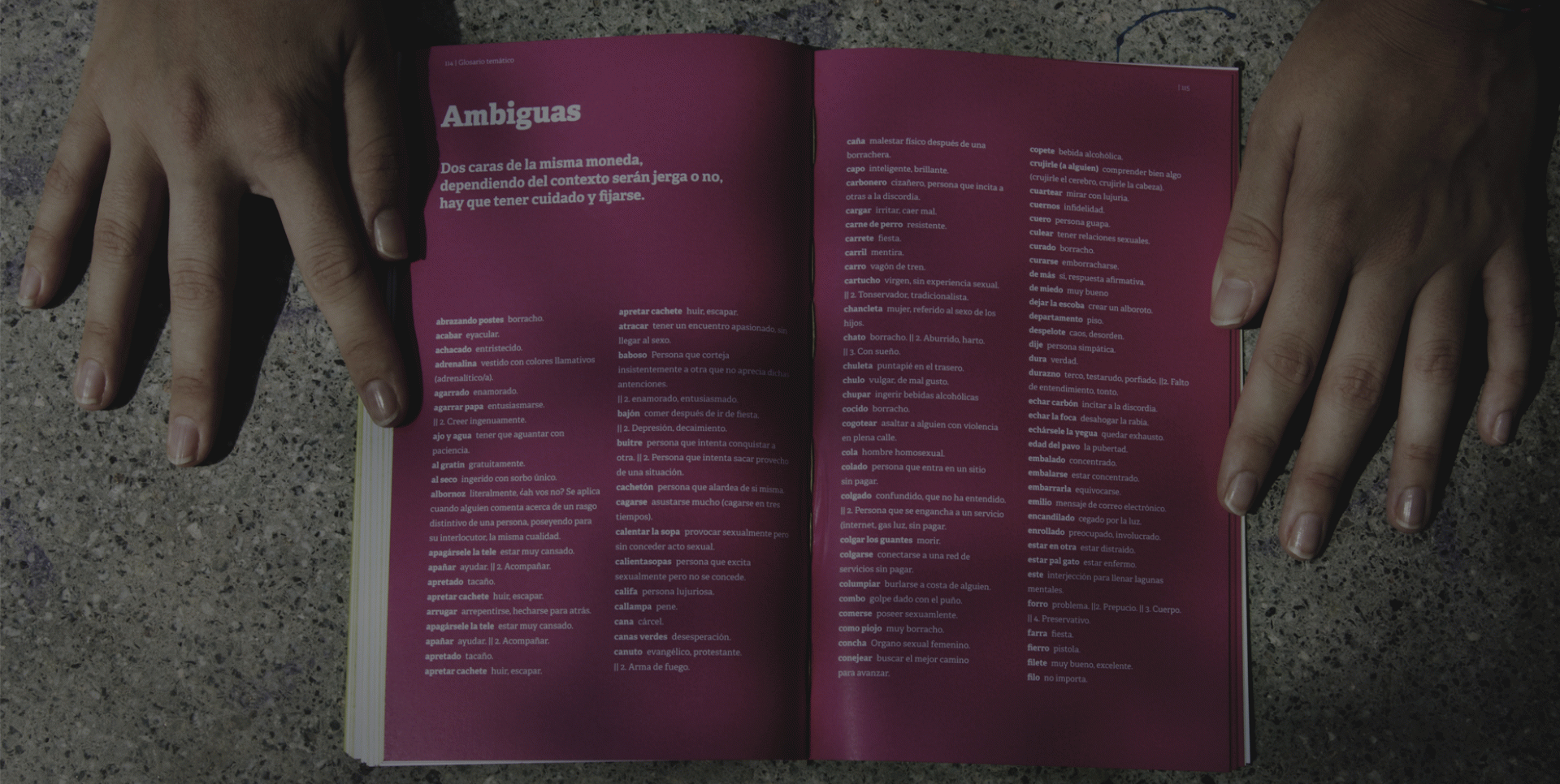 Natalia Ibárcena Callís - Jergología