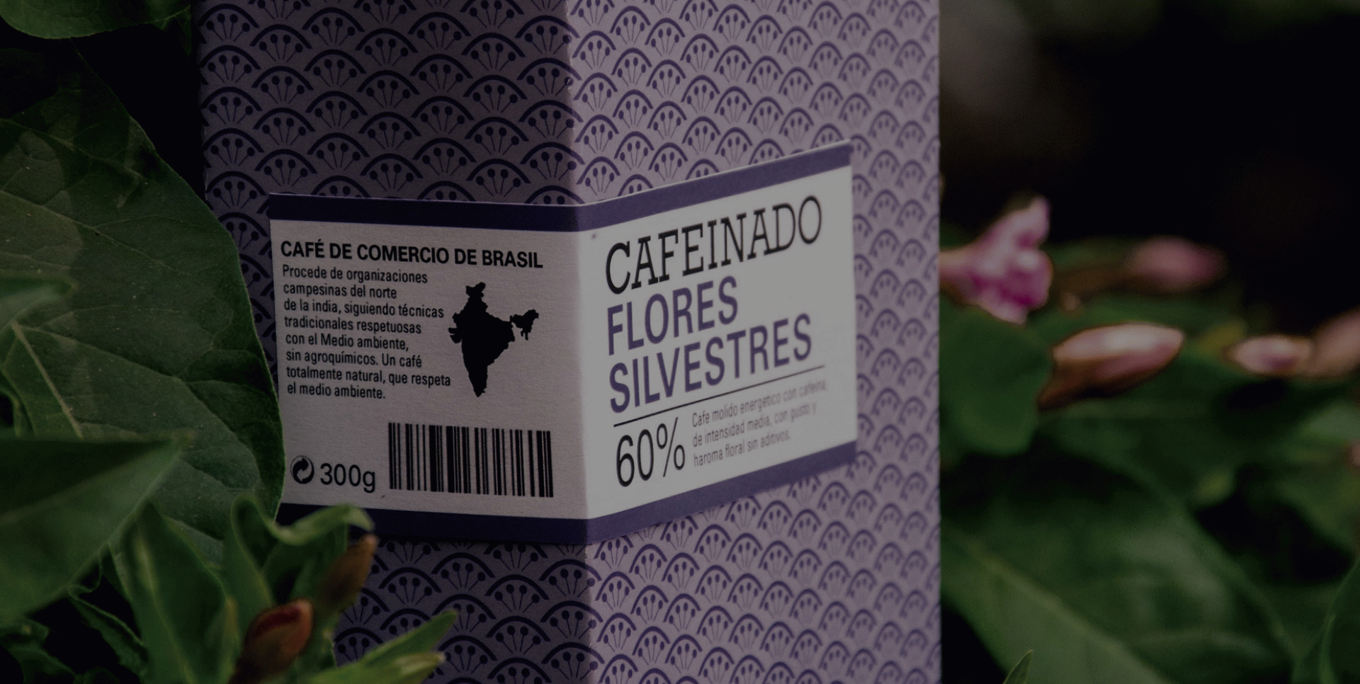 Neus Soler Minoves - Cafeinado