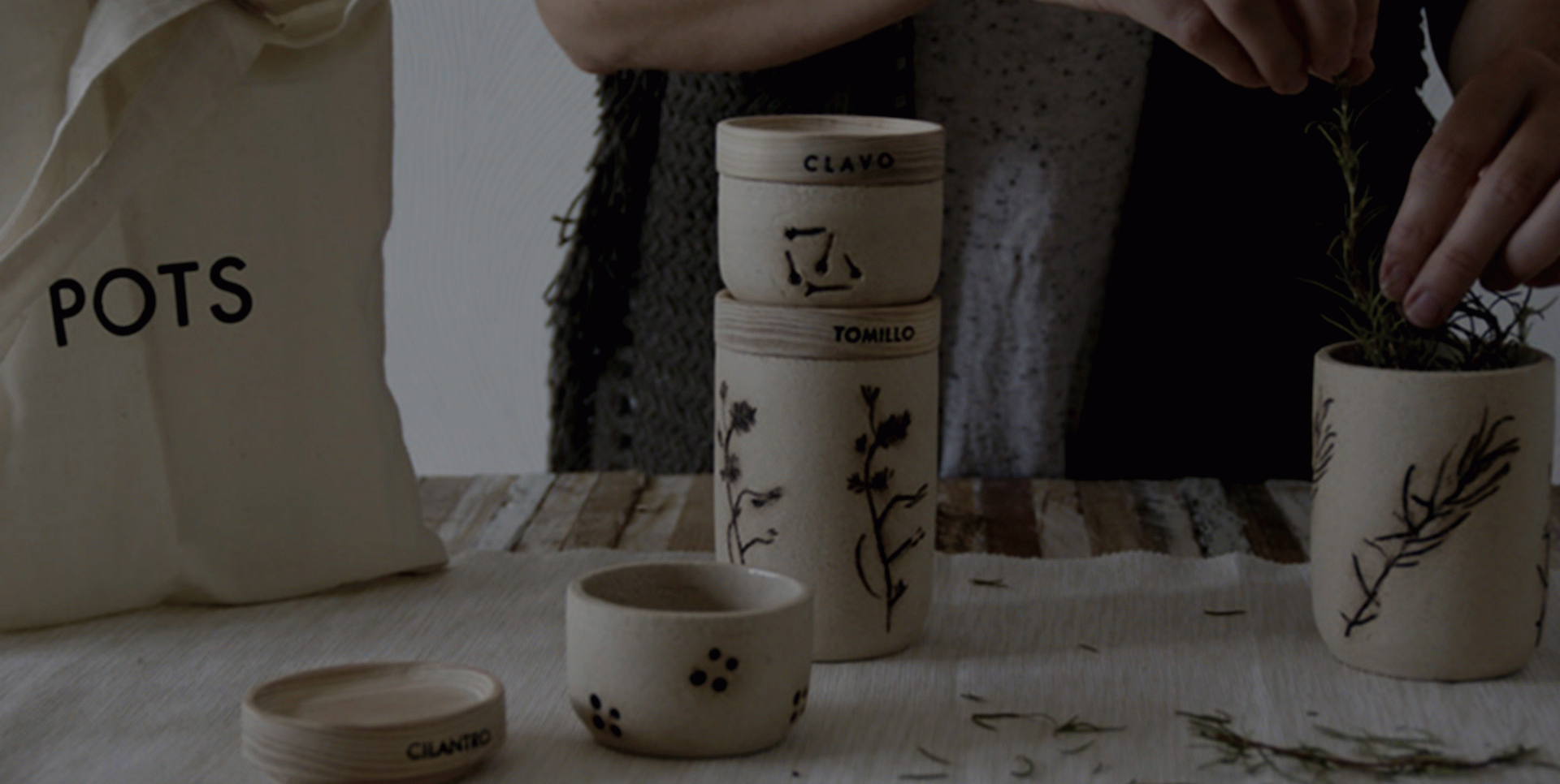 Nina Gannau Coma - POTS