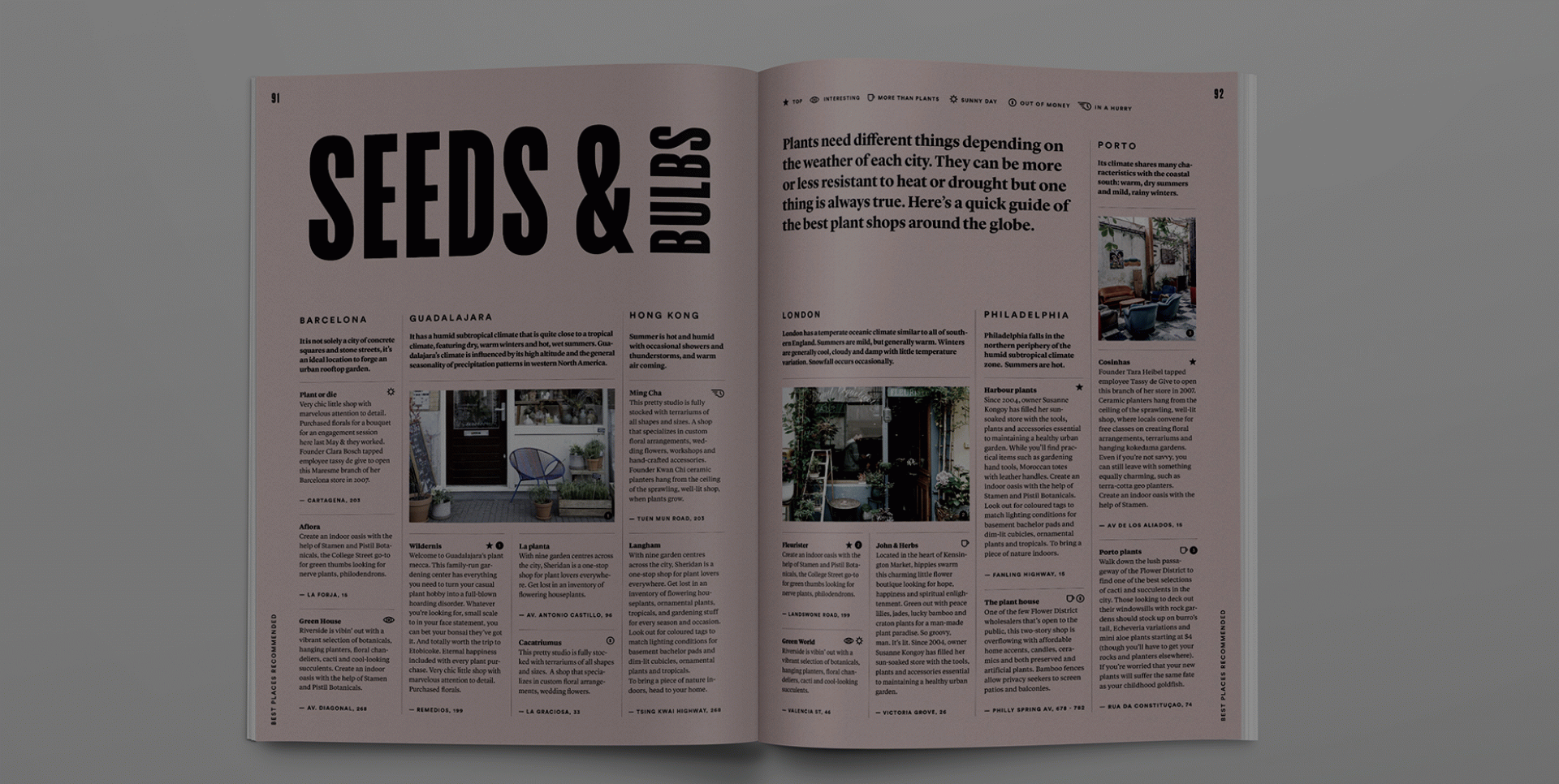 Roser Padrés - Mimosa