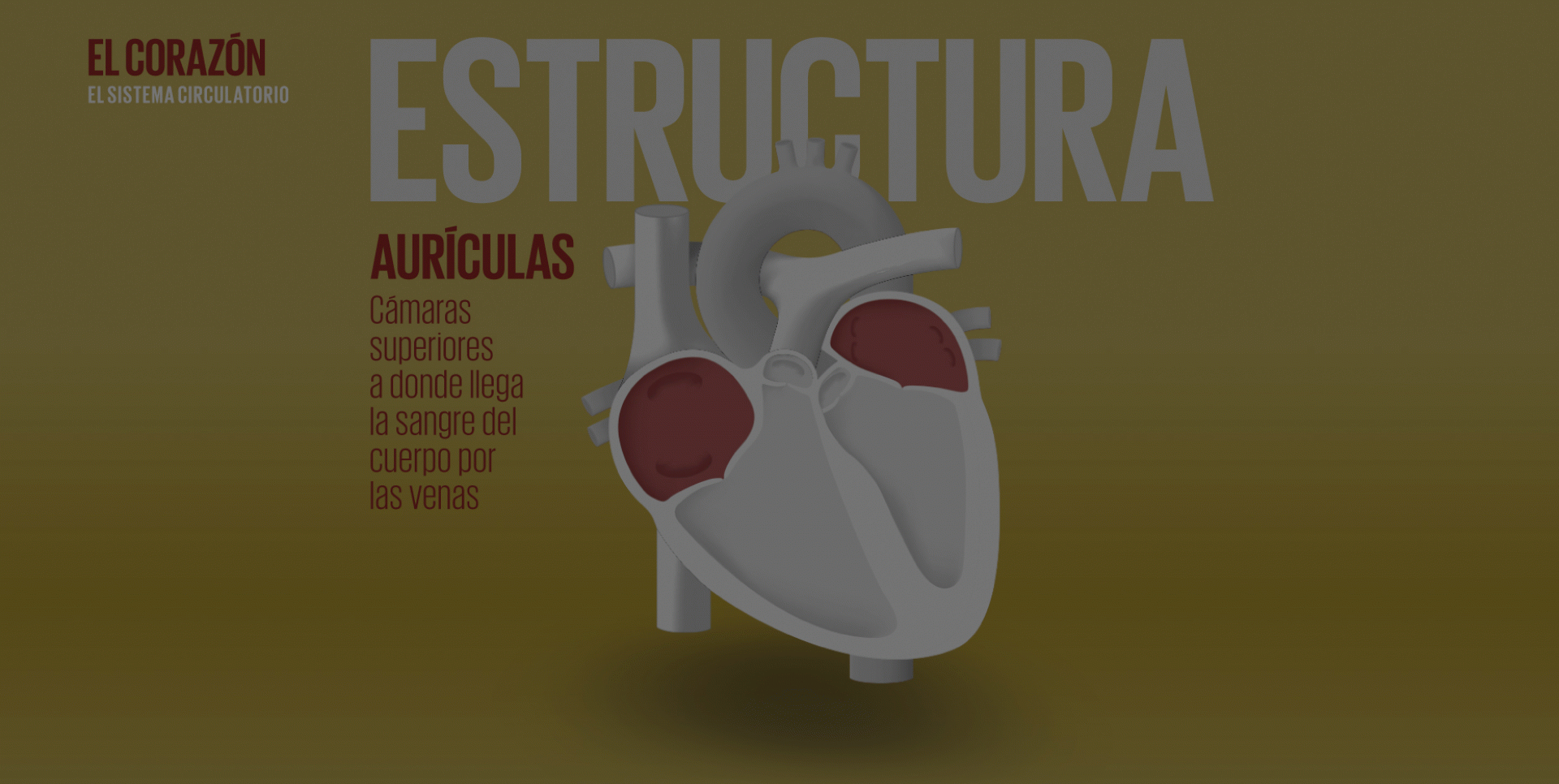 Sofia Soldevila de ViIallonga - Globo