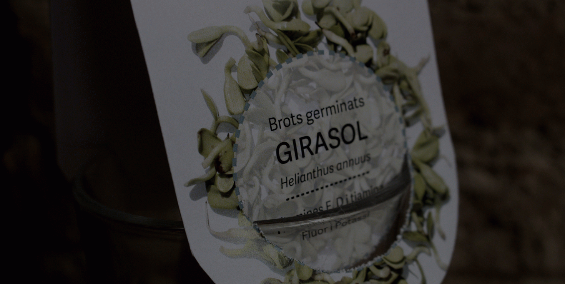 Tània Álvarez Bravo - Grow up