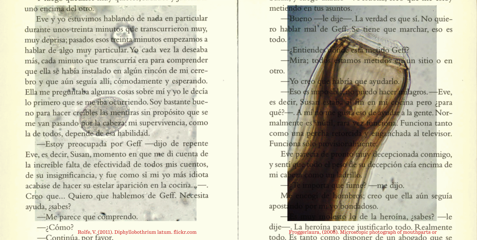 ACCIONS PARASITÀRIES, UN CONJUNT DE TRAPELLERIES 