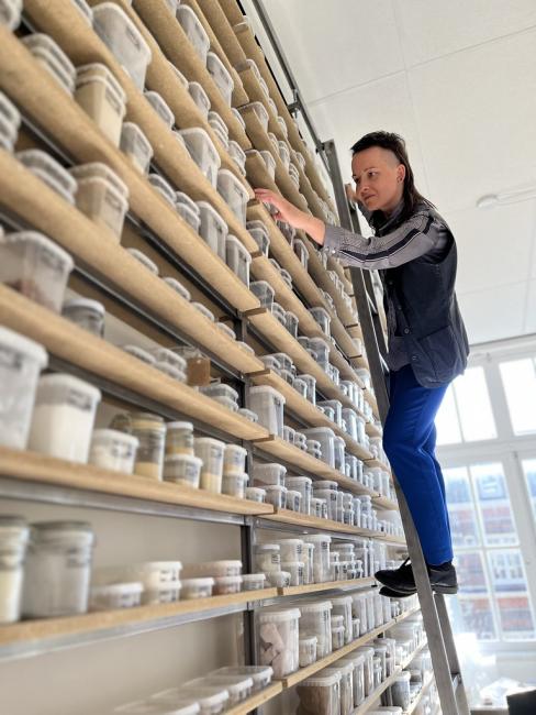 Dr. Masharu The Museum of Edible Earth