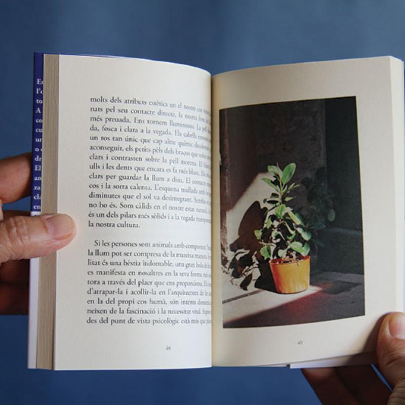 Elogio a la luz - Alba Moreno Lecha