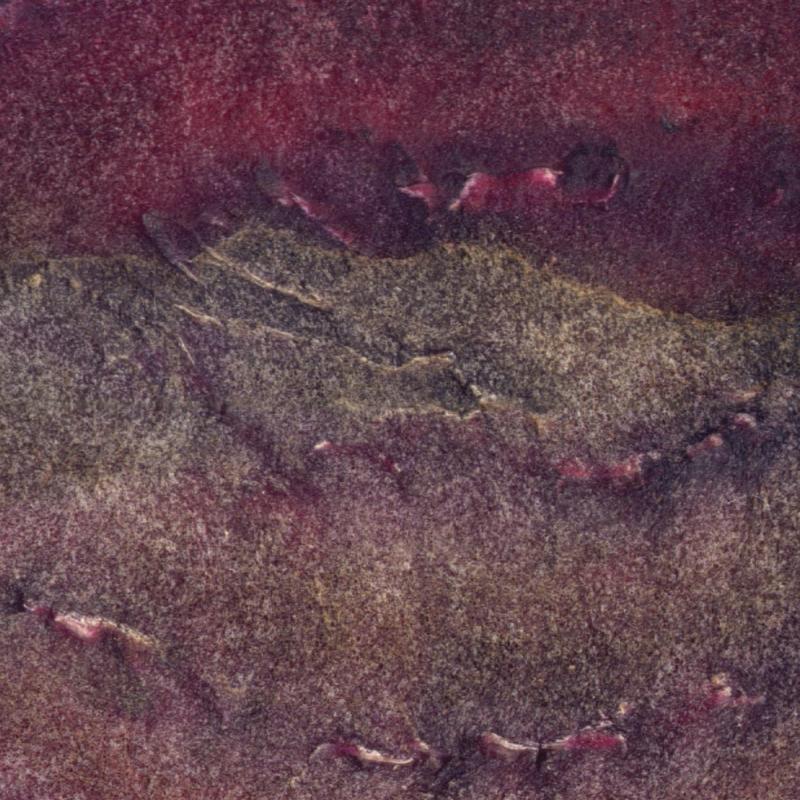 Carolina E. Díaz Galindo - Hortacroma