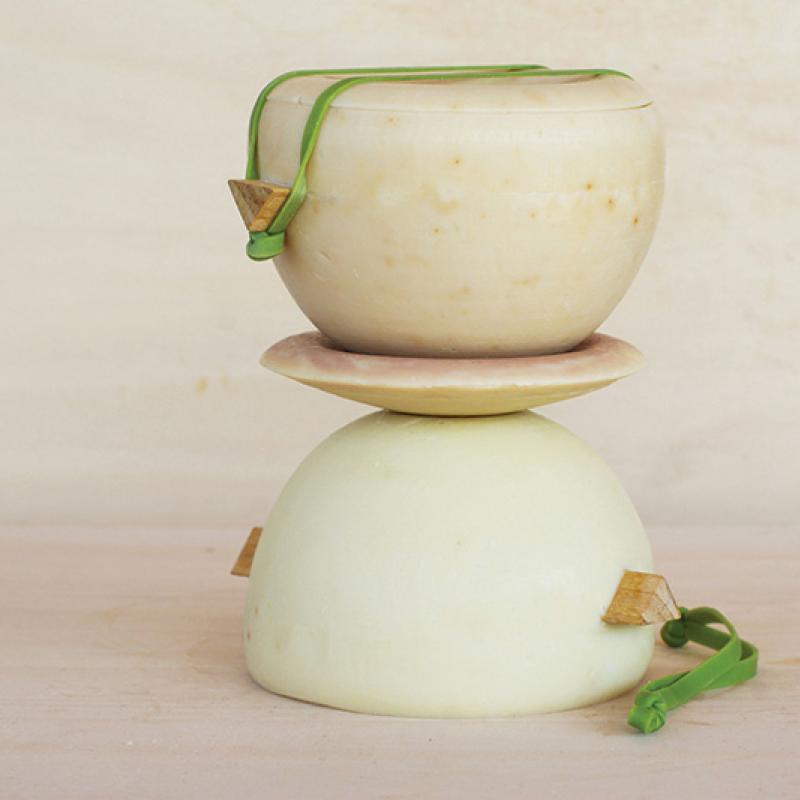 Olia - Denis Lara Molina