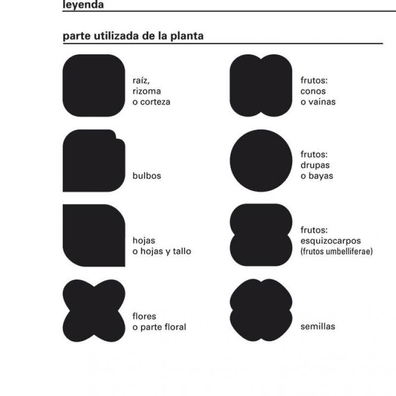 Eva Garcia Pano - Mapa organolèptic d’herbes i espècies culinàries