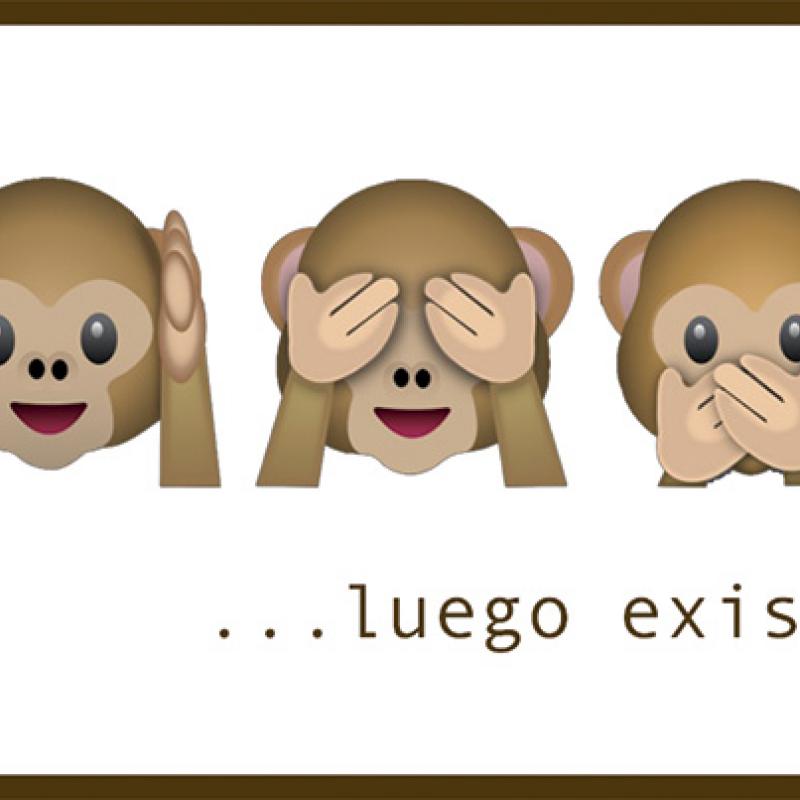 Lucía de Toro Yáñez - CEIBE