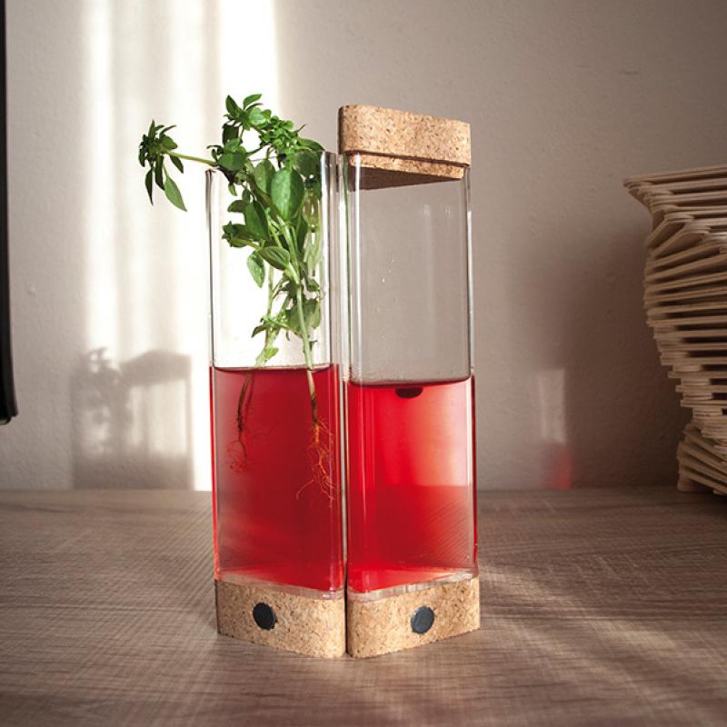 Laura González Jansà - Flowpot