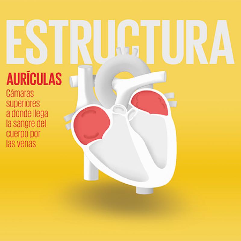 Globo - Sofia Soldevila de ViIallonga