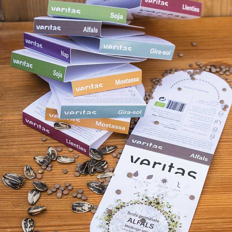 Tània Álvarez Bravo - Grow up